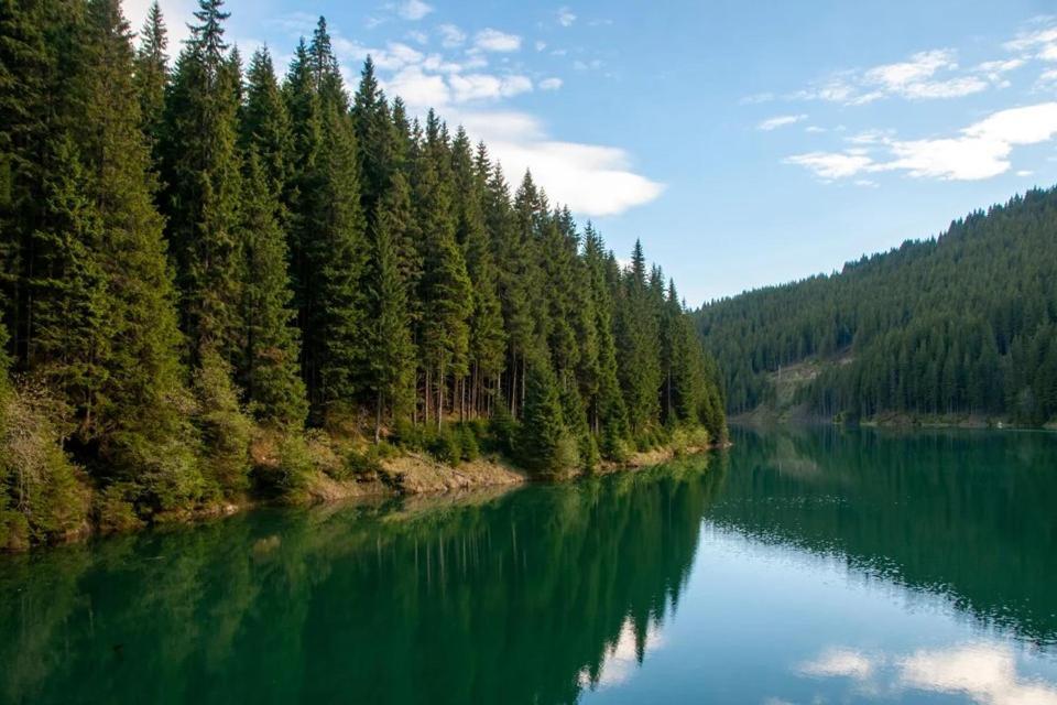 Camping Aviator, Numai Teren, Campare Pentru Rulote Autorulote Personale, Campingul Nu Are Rulote !!! Buşteni Buitenkant foto